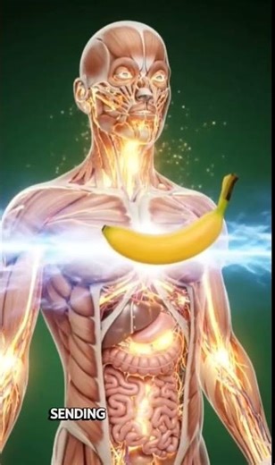 What happens inside your body after eating banana | 3D digestion animation #facts