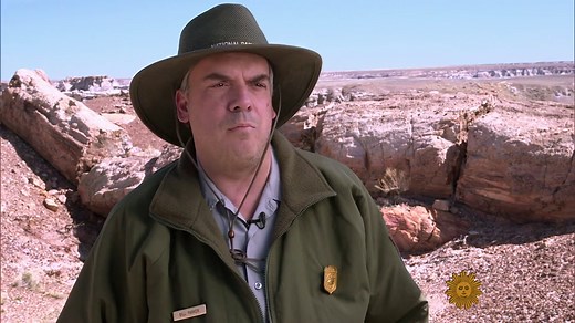 On The Trail: Petrified Forest National Park