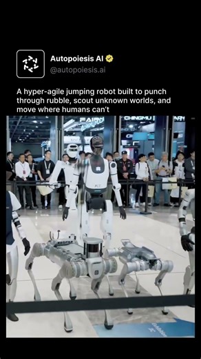 A hyper-agile jumping robot build to punch through rubble and scout through unknown territory