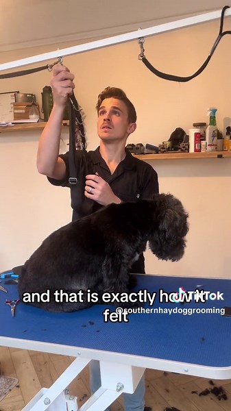 Snip Of Dogs on TikTok