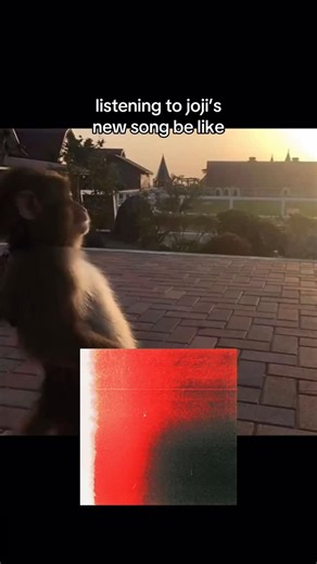 @joji.vids on Instagram: "he cooked @sushitrash #joji #pastwontleavemybed #sushitrash #jojimusic #jojimiller"