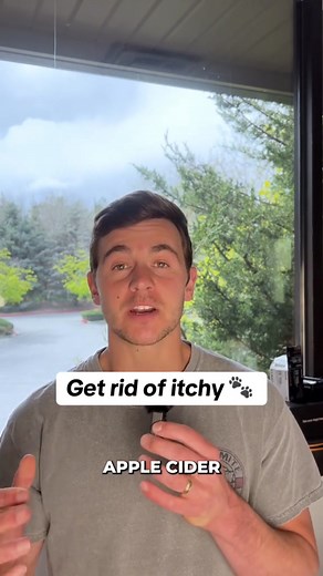 Every year, millions of dogs suffer from the same problem: Constant scratching, licking, and red irritated skin. Most vets call it “sensitivity” or “skin irritation.” But new research suggests the real cause runs deeper — and the answer may come from the dog’s oldest ancestor: the wolf. Scientists studying wild wolf packs noticed something remarkable. Despite living outdoors and exposed to the same allergens, wolves never developed chronic itching or skin inflammation. The difference wasn't the 