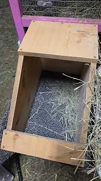 Preparing a Rabbit Nesting Box #homestead #rabbitry #rabbits