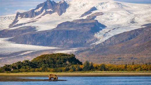 A remote landscape where bears hunt along the river