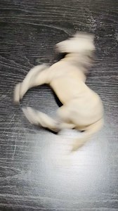 26K views · 707 reactions | Just going for a spin #breyer #breyerhorse #breyerhorses #breyercustom #peterstone #model #modelhorse #modelhorses #equine #equine art #equinesculpture #horse #horses #horseart #horsesculpture #breyerfest #custom #customizing #drasticcustom #repaint #paint #painting #sculpting #breyermodelhorses #breyermodels #tutorial #howto #youtube #instagraminprogress | DeeJayBe Studios | Facebook