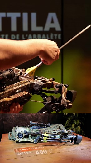 Excalibur Assassin 400 TD : La meilleure arbalète