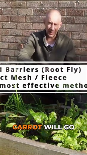 Protect Your Carrots! Fleece for Frost & Pests