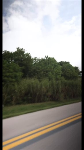 1.4K views · 64 reactions | A pre-war favorite among our workshop staff, the 1912 Mercer Raceabout proves that less really is more, especially when it comes to coachwork. #ACTIVEMATTER #mercer #revsinstitute #raceabout #prewarsportscar #automotivehistory #preservinghistory #museum #archive #naplesflorida | Revs Institute | Facebook