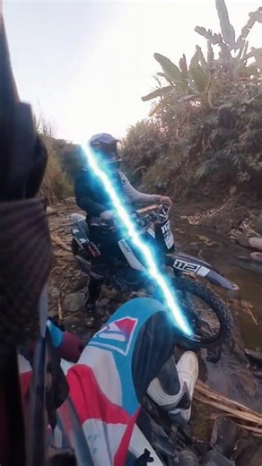 KTVA Nature & Machine Therapy