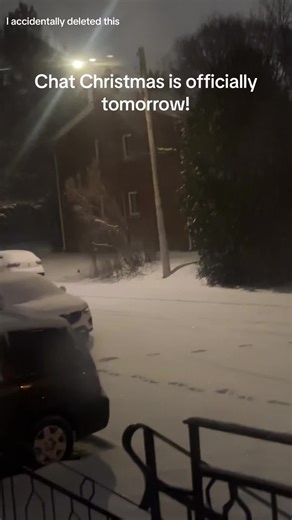 Charmander_the_bearded_dragon (@charmander_the_lizard)’s videos with original sound - Charmander_the_bearded_dragon