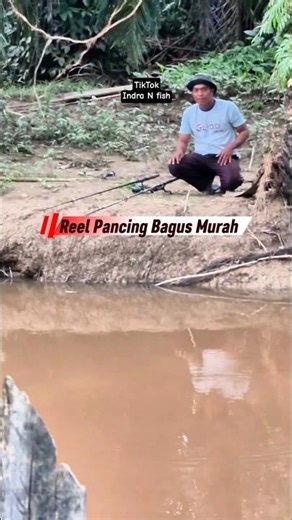 Recommended Cheap Good Metal Fishing Reel Pulley 🎣💪#indranfish #fishing #mancing