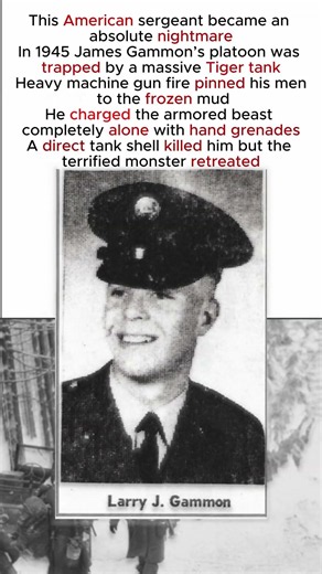 HE CHARGED A 70 TON TIGER TANK WITH GRENADES