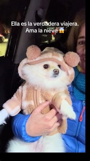 #pomeranian #tiktokpuppies #wyoming #endof2025