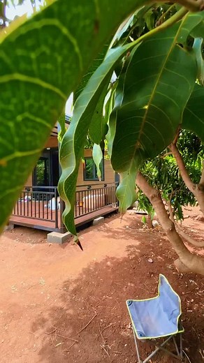 1.1K views · 751 reactions |  Livraison en cours dans l’Ouest !...