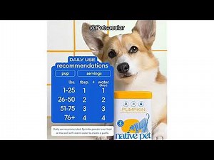 Native Pet Pumpkin for Dogs Review Is This Organic Digestive Supplement Worth It