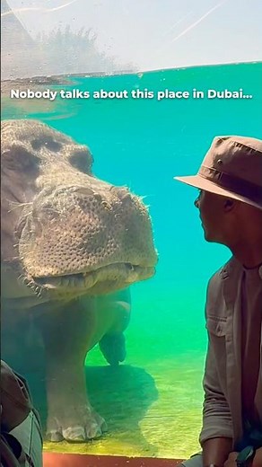 The Most Underrated Attraction in Dubai #dubaisafaripark