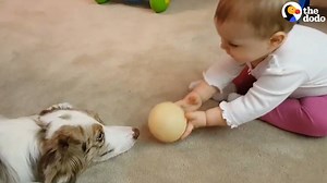 5.5M views · 31K shares | This is her first puppy, and she LOVES him ❤️ | The Dodo | Facebook