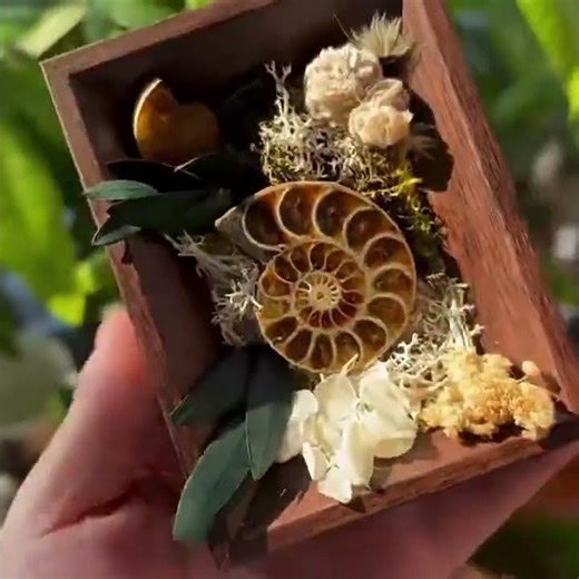 Natural Raw Crystal Micro-Landscape Shadow Box - Handcrafted Zen Decor