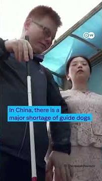 This Robodog Is an AI Powered Guide Dog || DW's Robots Now! Reels