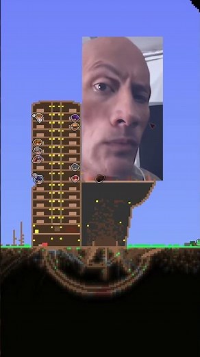 Best Terraria House Ever #terraria #gaming #calamity