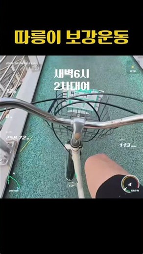 러너의 따릉이 이용법