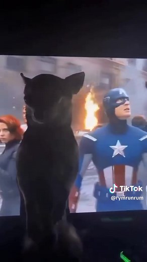 Kermit the Frog meme: 'You are not part of the Avengers' explained