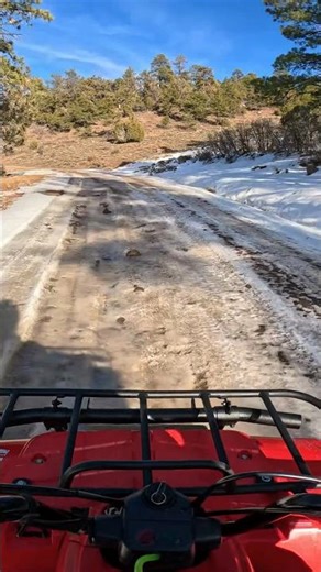 How is a 1994 Timberwolf Still a Reliable ATV?! #atv #quads #yamaha #fyp #riding #shorts