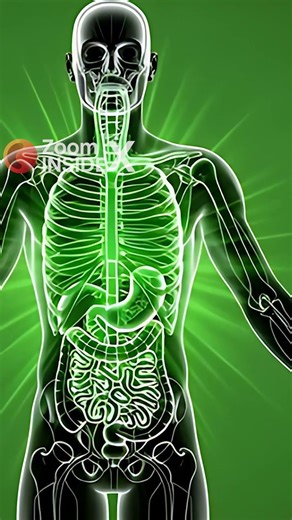 Onions do this inside your body 3D 😳