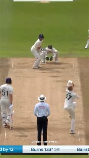 2019 ashes brilliant bowling by Nathon Lyon #cricket #cricketshorts #spin