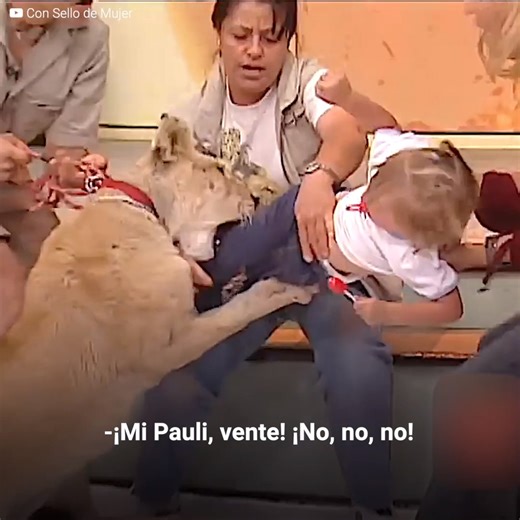 23M views · 139K reactions | “¡No! ¡Mi Pauli no! ¡No!” Pensaron que...