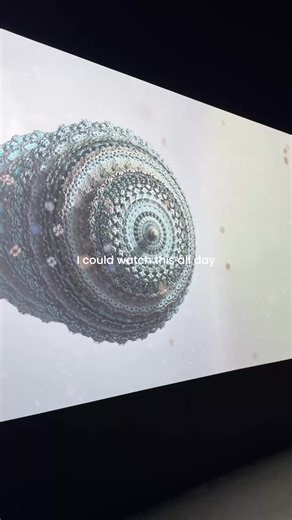 Algebraic Fractals are the structures artist Julius Horsthuis explores in Fractal Worlds, currently on view at ARTECHOUSE Houston. These are generated by plugging coordinates into a single, simple mathematical equation and seeing what happens after many repetitions (iterations). The color of each point on the resulting image depends on how fast the numbers