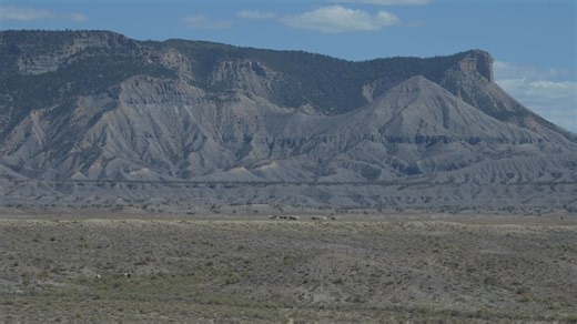 1.4K views · 48 reactions | A band of wild horses off in the distance in Spring Creek Basin in Southwest Colorado. | Wildlife throughhopeseyes. | Facebook