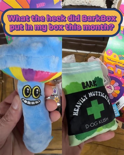 Maaan, do you smell that? It’s a hot box full of fun! Score dope toys and mouth-watering munchies delivered every single month, starting with the Fur Twenty box. | BarkBox | Facebook