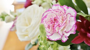 Is the Portable Canon RF 16mm f/2.8 STM Lens the Best Wide Angle for APS-C Cameras?