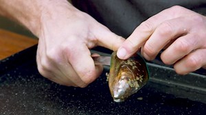 This is how you do it: Art from Mills Bay Mussels shows how to raw shuck a mussel. #rawshuck #theBESTwaytoeatmussels #betterthanbluecod | Aquaculture New Zealand