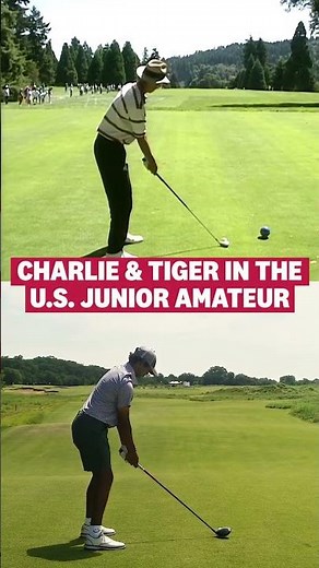 Tiger ➡️ Charlie