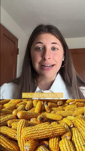 Field Corn vs. Sweet Corn: Rachel Explains the Difference