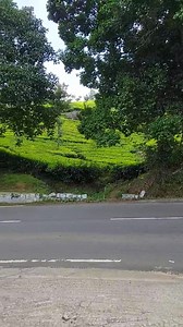 #coonoor | Coonoor