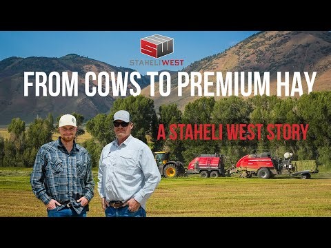 From Cows to Premium Hay at Poison Creek Ranch - Full Story Now Available