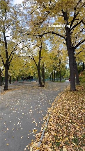 Autumn in Vienna,Austria🍁
