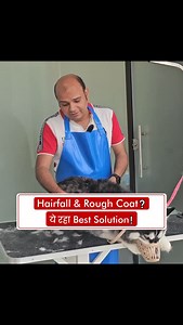 5.1K views · 1.1K reactions | ✨ Hairfall & Rough Coat 瑩 ये रहा Best...