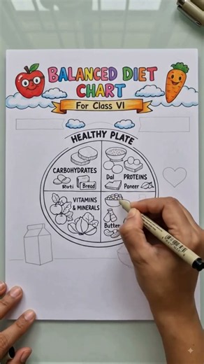 Balanced Diet Chart | Class 6 CBSE Science | Easy Handmade School Activity