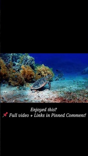 🌊 Relaxing Underwater 4K | Deep Sleep & Meditation Sounds