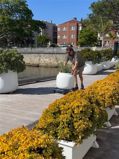 Terrace Outdoor Living on Reels