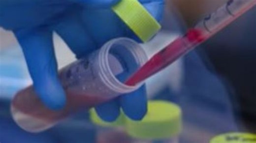 Scientists revive dire wolf species from in world’s first known ‘de-extinction’