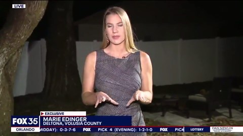 Florida man shoots alligator as it attacked dog in backyard: 'My heart just dropped'