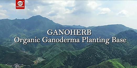 GANOHERB Organic Ganoderma (REISHI) Planting Base