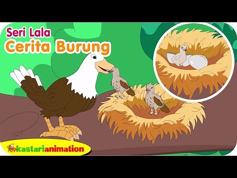 CERITA BURUNG - BAGAIMANA BURUNG BISA BERTELUR - Belajar Bersama Lala - Kastari Sentra Official