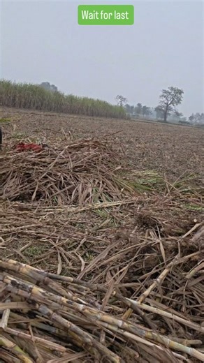 Shamimfans | 🌟 Get ready to laugh your socks off with our hilarious Prank Shorts video! 😂 Whether it’s epic fails, outrageous surprises, or clever... | Instagram