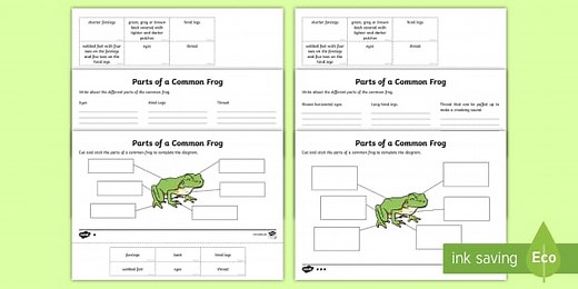 Parts of a Frog Differentiated Worksheet